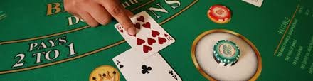 buntogel88 App 